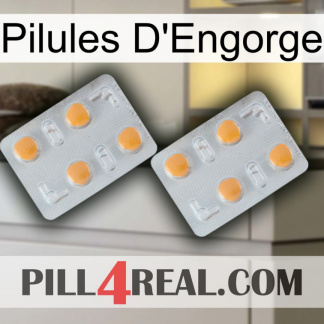 Engorge Pills 25
